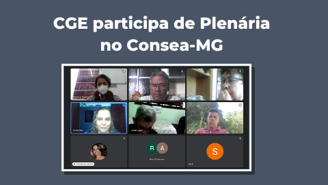 Capa site Consea mg