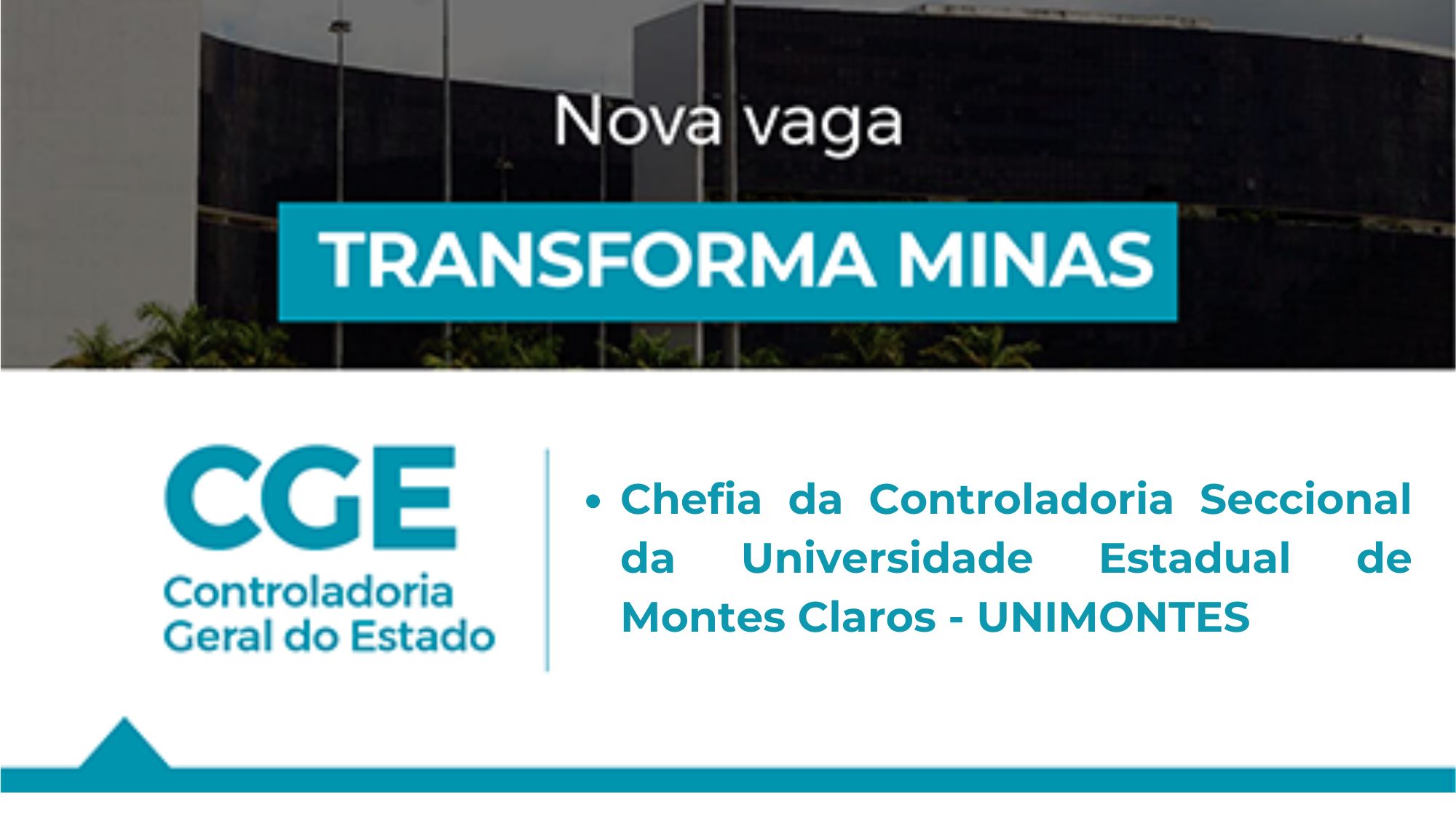 ps unimontes