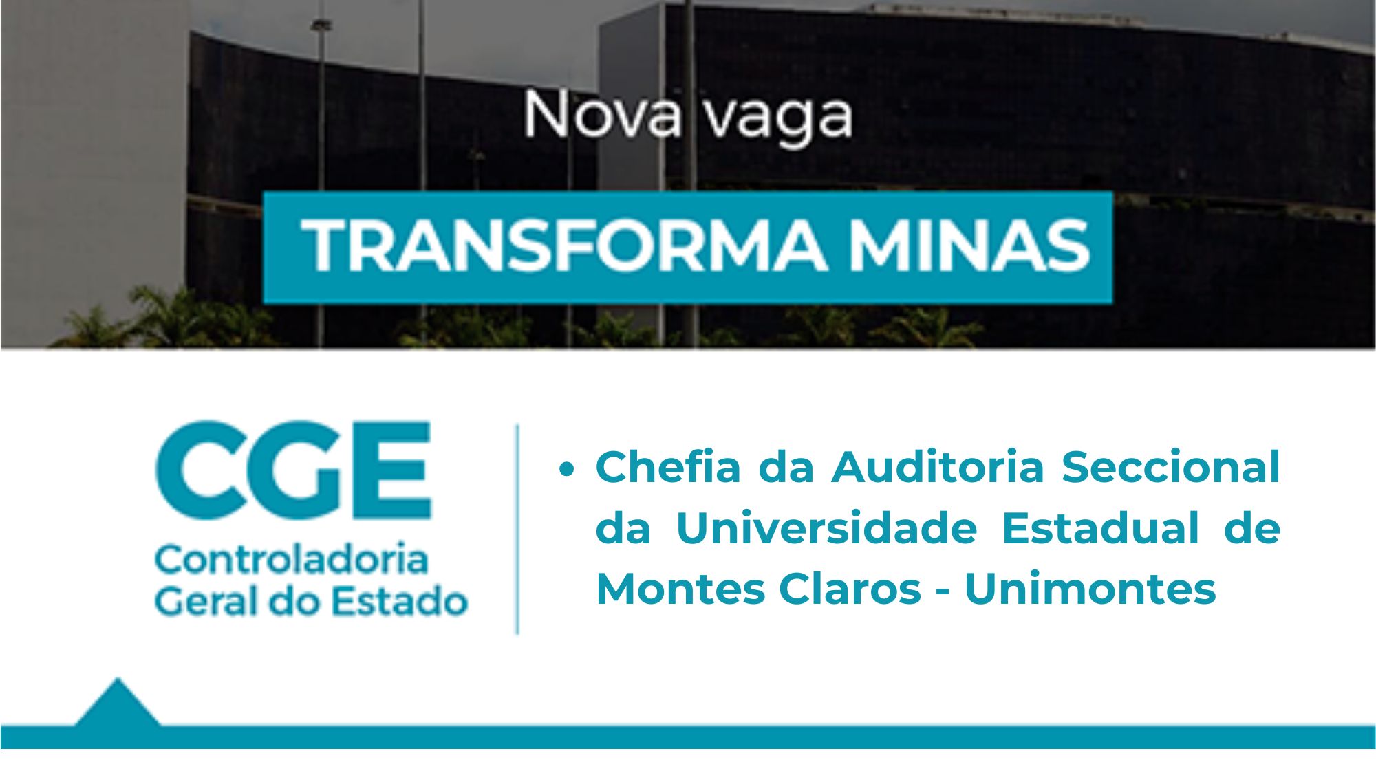 vaga unimontes