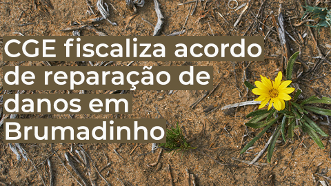 editado